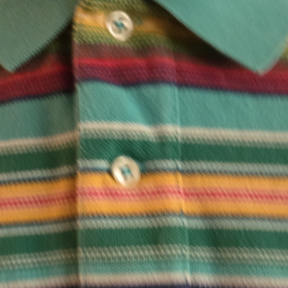 Ralph Lauren Blue and Green Polo Shirt with Horizontal Stripes - Picture 4 of 7